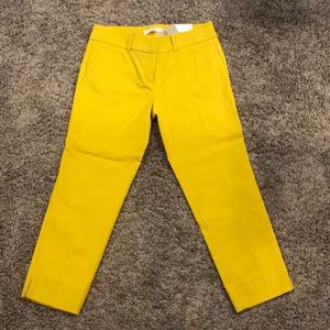 Loft Pants- mustard yellow